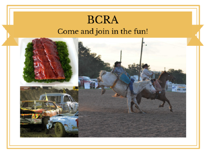 County Rodeo Association / Home Page